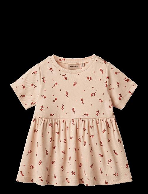 Wheat | Jersey Dress Anna | 80