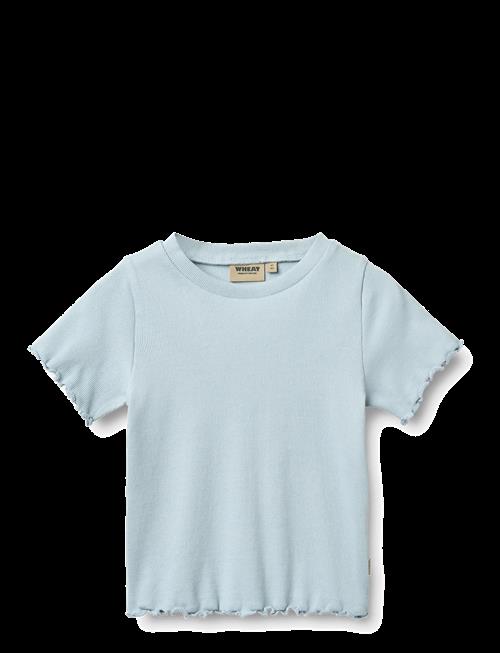 Wheat | Rib T-Shirt S/S Alicia | 104
