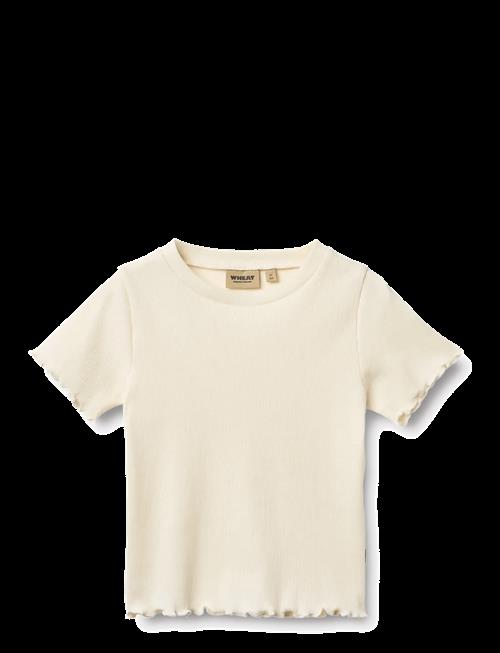 Wheat | Rib T-Shirt S/S Alicia | 110