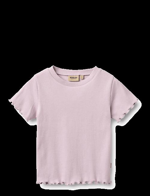 Wheat | Rib T-Shirt S/S Alicia | 98