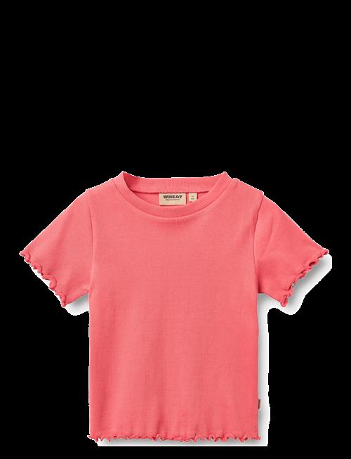 Wheat | Rib T-Shirt S/S Alicia | 116
