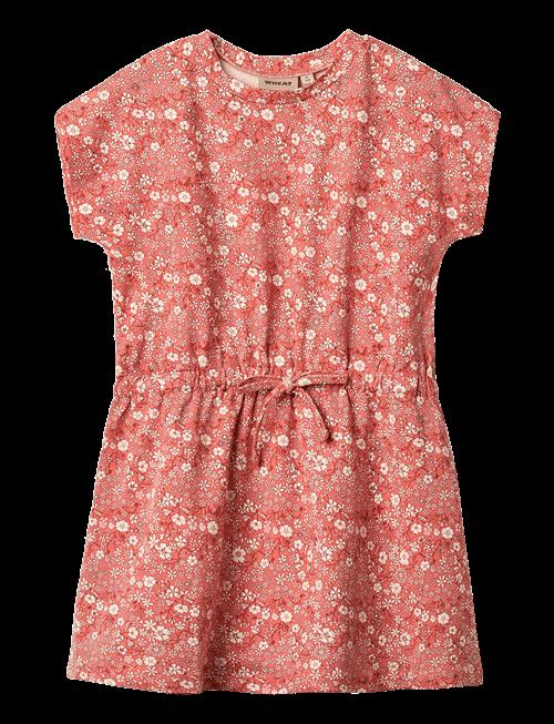 Wheat | Jersey Dress Maribel | 116