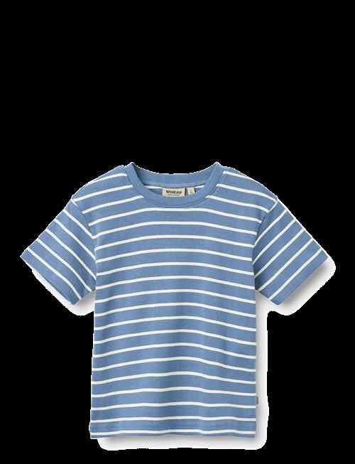 Wheat | T-Shirt S/S Fabian | 116