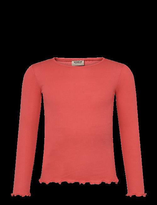 Wheat | T-Shirt L/S Ida | 116