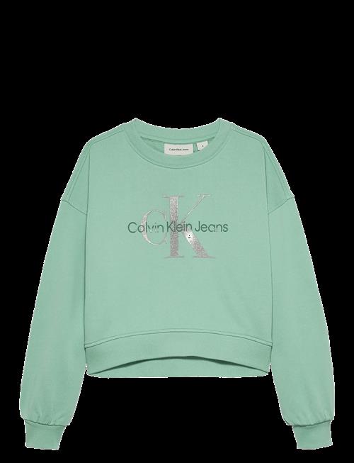 Calvin Klein | Glitter Monologo Cn Sweatshirt | 116