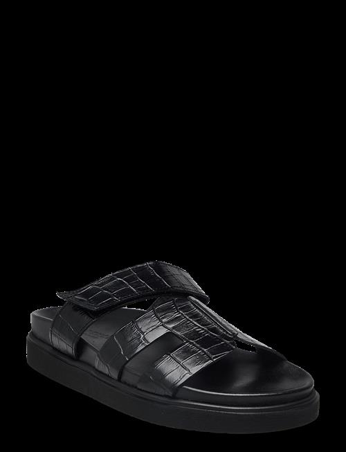 Pavement | Maru Croco | 40
