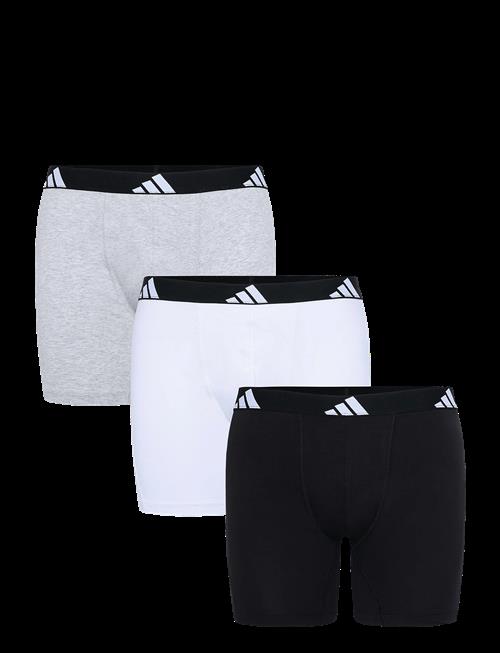 adidas Underwear | Shorts | XL