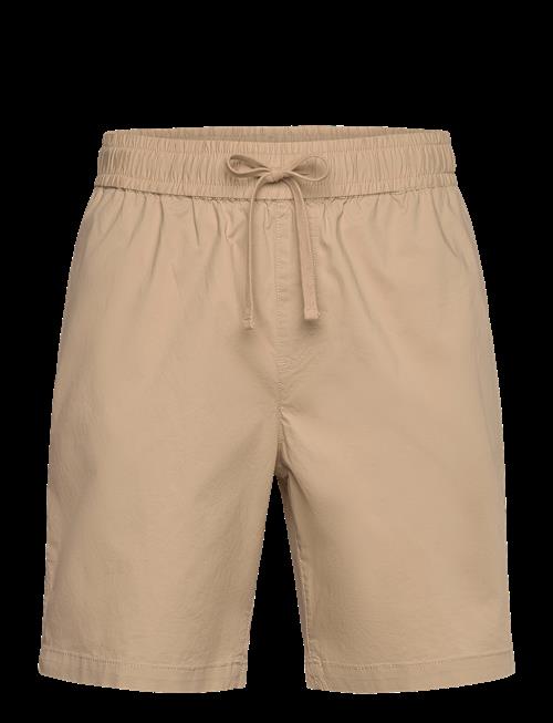 Fat Moose | Evan Shorts | S