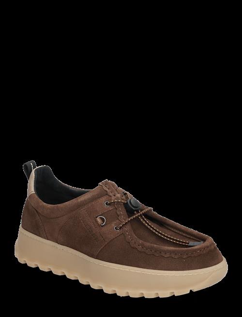 KLEMAN | Granite Vm | 43