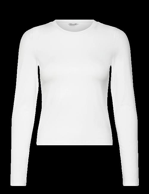 Organic Basics | Everyday Regular Long Sleeve Tee | L