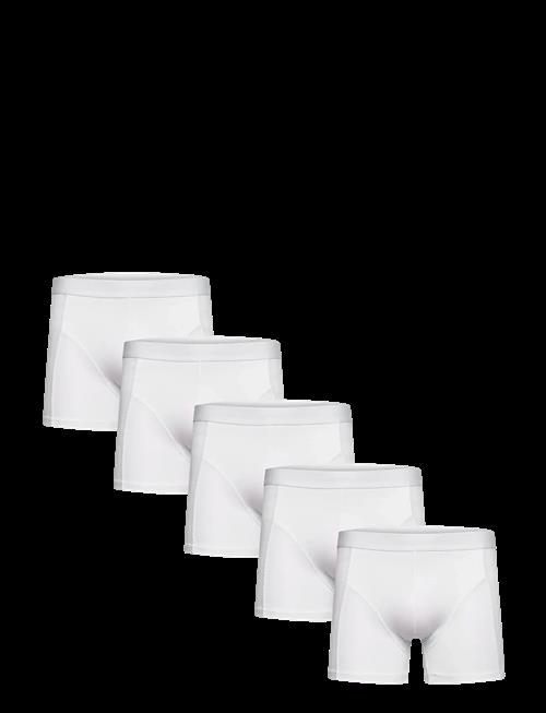 Shine Original | 5 Pack Tights | XXL