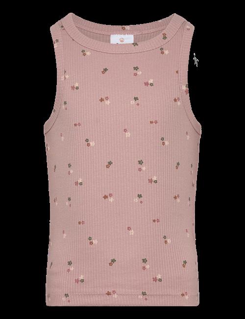 The New | Tnoreta Short S_L Rib Top | 170/176