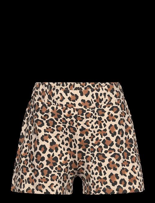 The New | Tnorella Shorts | 134/140