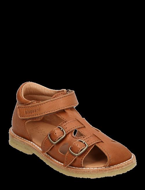 Bisgaard | Bisgaard Steph | 23