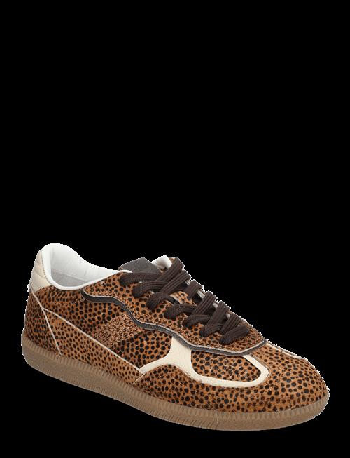 ALOHAS | Tb.490 Rife Leather Sneakers | 38