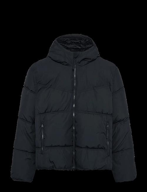Hollister | Hco. Guys Outerwear | XL