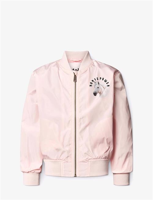 Molo | Haliva | 116
