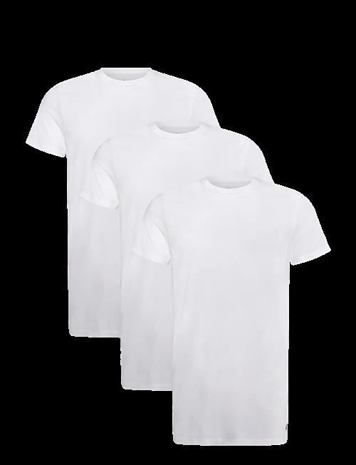 Calvin Klein | S/S Crew Neck 3Pk | M