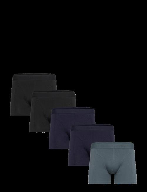 Claudio | Claudio 5-Pack Tights | M
