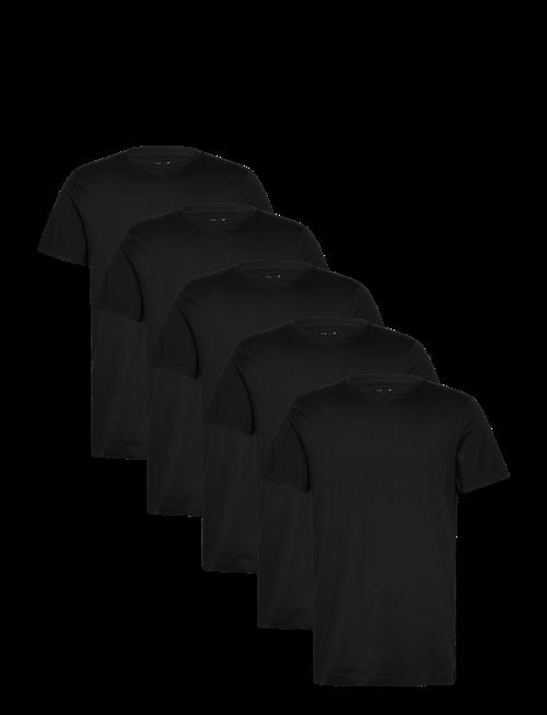 Claudio | Claudio 5-Pack T-Shirt Cotton | XL