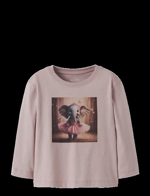 name it | Nmfvotea Ls Nreg Top | 92