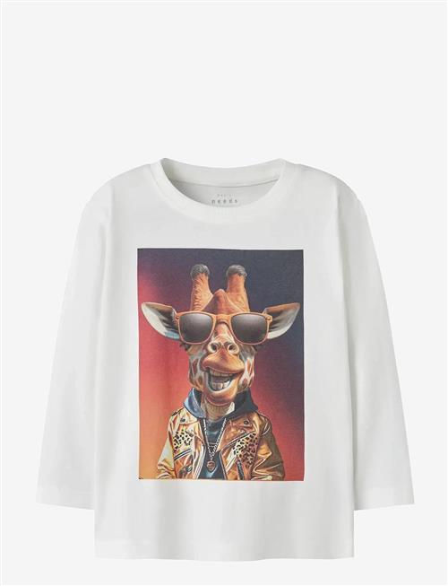 name it | Nmmvoto Ls Nreg Top | 86