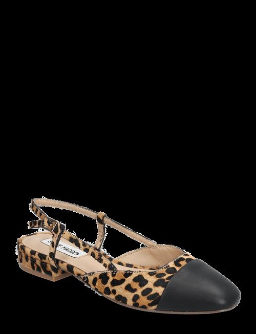 Steve Madden | Belinda-L Ballerina | 37
