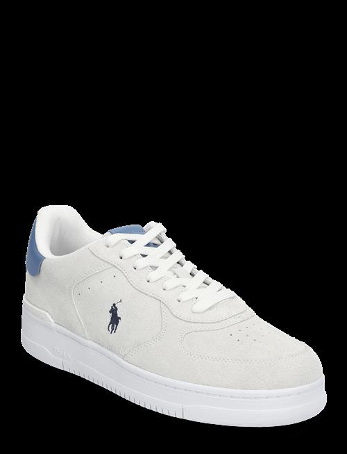 Polo Ralph Lauren | Masters Court Suede Sneaker | 46