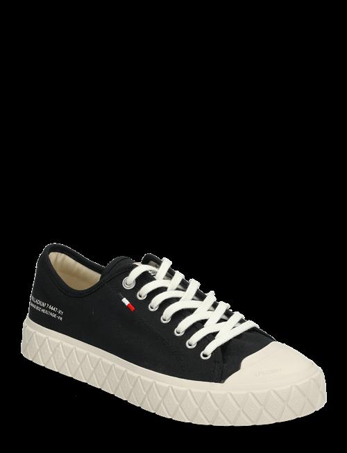 Palladium | Palla Ace Cvs Org | 40
