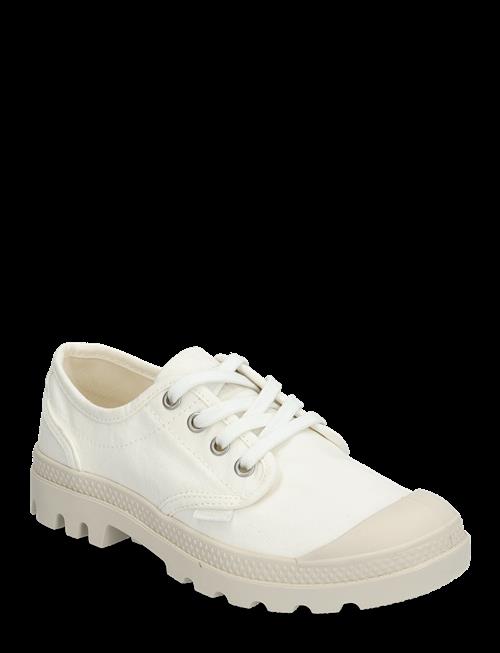 Palladium | Pampa Oxford | 39