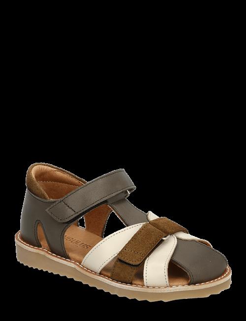 ANGULUS | Sandals - Flat  - Closed Toe | 30
