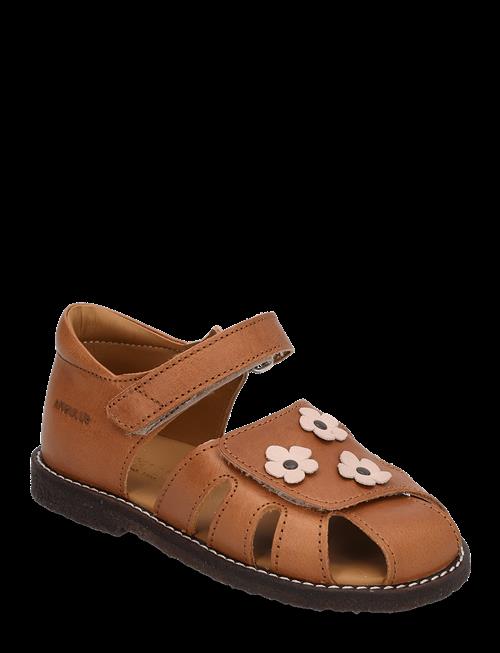 ANGULUS | Sandals - Flat  - Closed Toe | 20