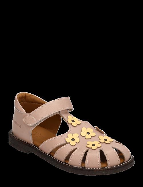 ANGULUS | Sandals - Flat  - Closed Toe | 24