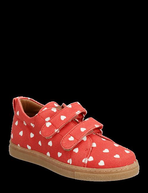 ANGULUS | Shoes - Flat - With Velcro | 32