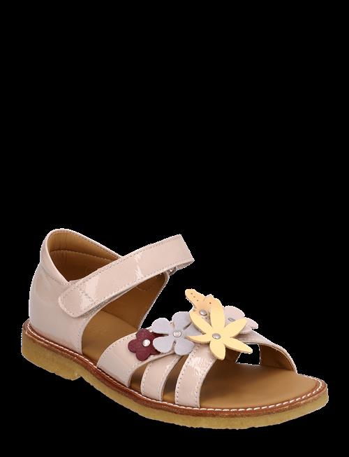 ANGULUS | Sandals - Flat  - Open Toe - Clo | 27