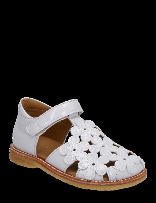ANGULUS | Sandals - Flat | 24