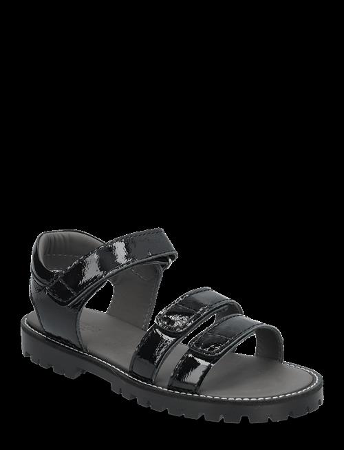 ANGULUS | Sandals - Flat  - Open Toe - Op | 34