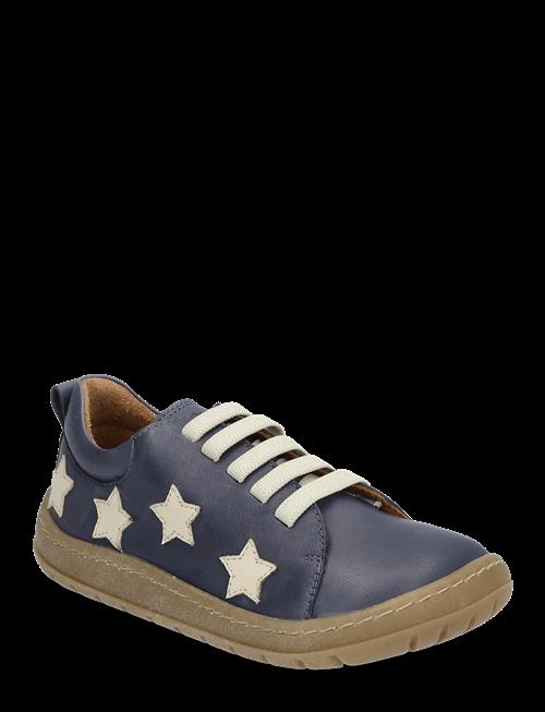 ANGULUS | Shoes - Flat - With Lace | 25