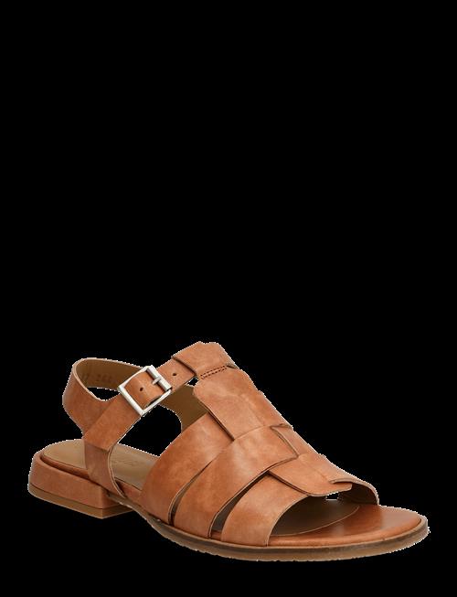 ANGULUS | Sandals - Flat  - Open Toe - Op | 41