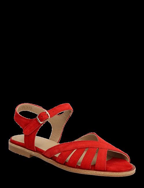 ANGULUS | Sandals - Flat  - Open Toe - Op | 39.5
