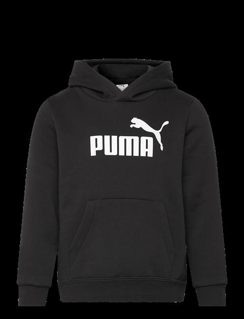 PUMA | Ess No. 1 Logo Hoodie Fl Ps | 110