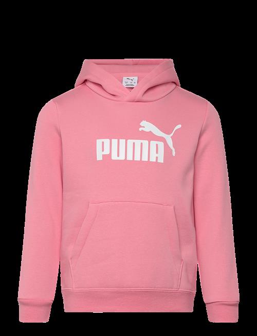 PUMA | Ess No. 1 Logo Hoodie Fl Ps | 110