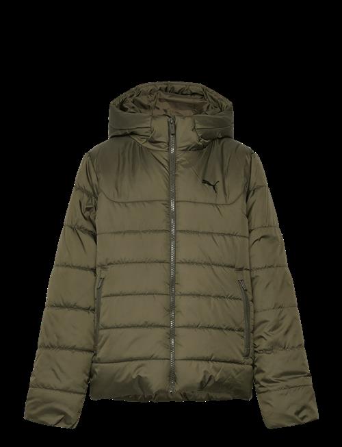 PUMA | Ess Hooded Padded Jacket | 152