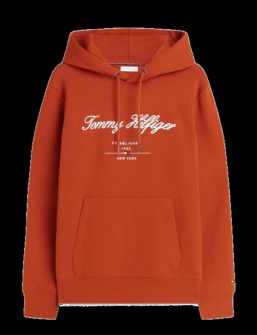 Tommy Hilfiger | Script Logo Hoody | XS