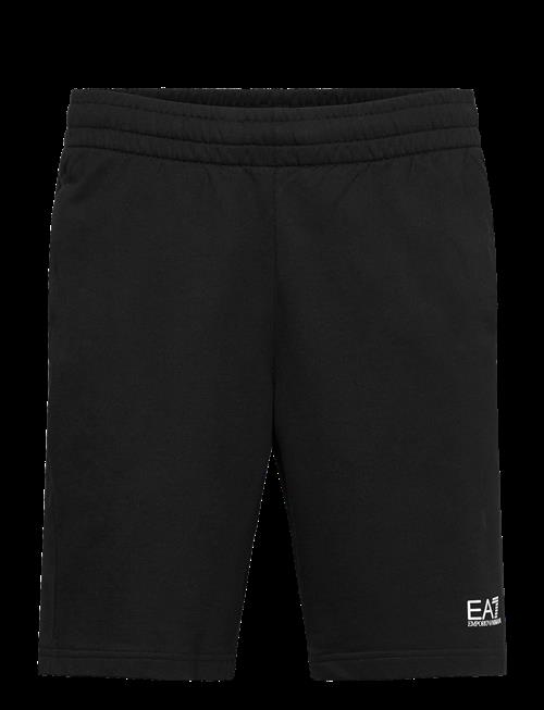 EA7 | Shorts | XS