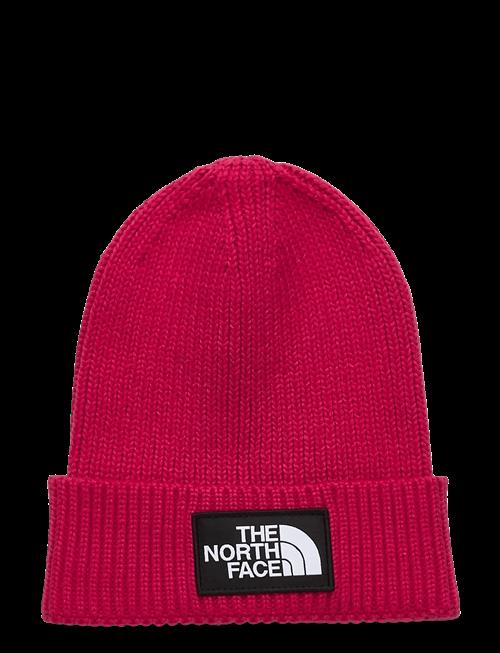 The North Face | Kids Tnf Logo Box Cuffed Beanie | ONE SIZE
