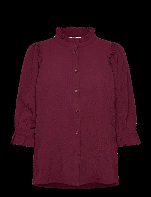 Part Two | Tonipw Sh | 40