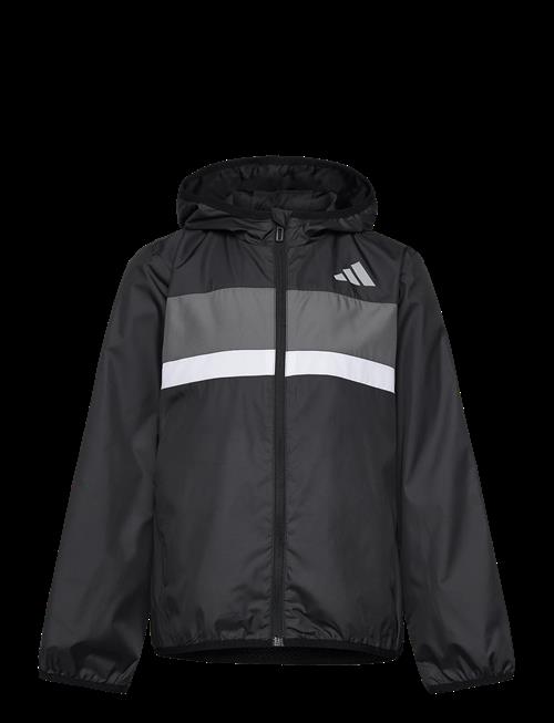 adidas Sportswear | J Tiberio Wb | 152