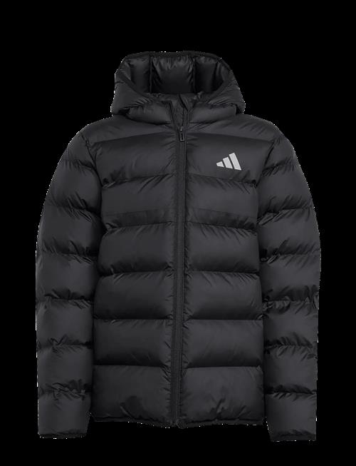 adidas Sportswear | J Sd Jkt | 176