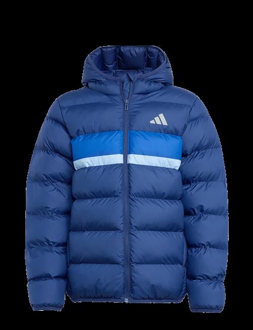 adidas Sportswear | J Sd Jkt | 164